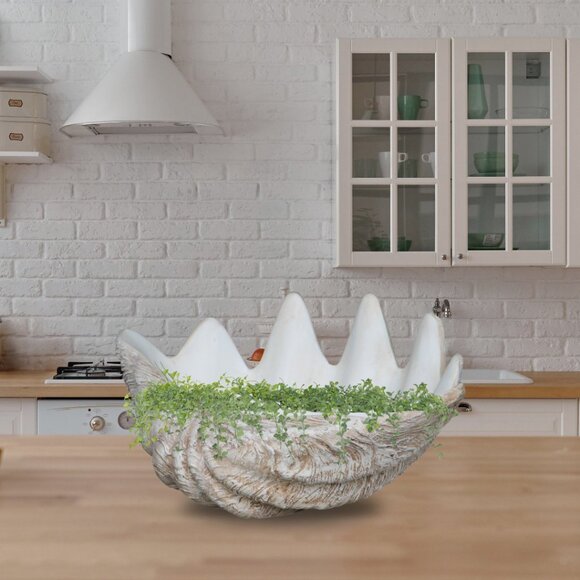 POLYSTONE GIANT CLAM SHELL POT - Picture 2 of 2